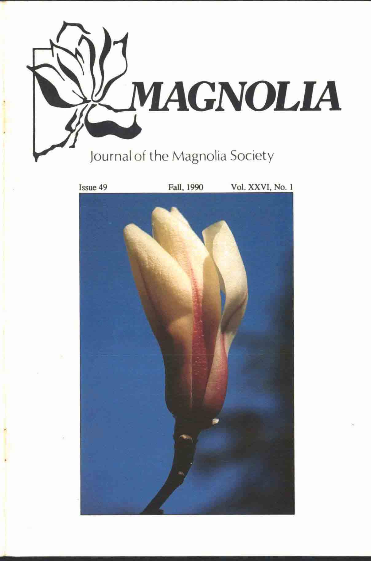 MSI Journal Issue 49 Cover