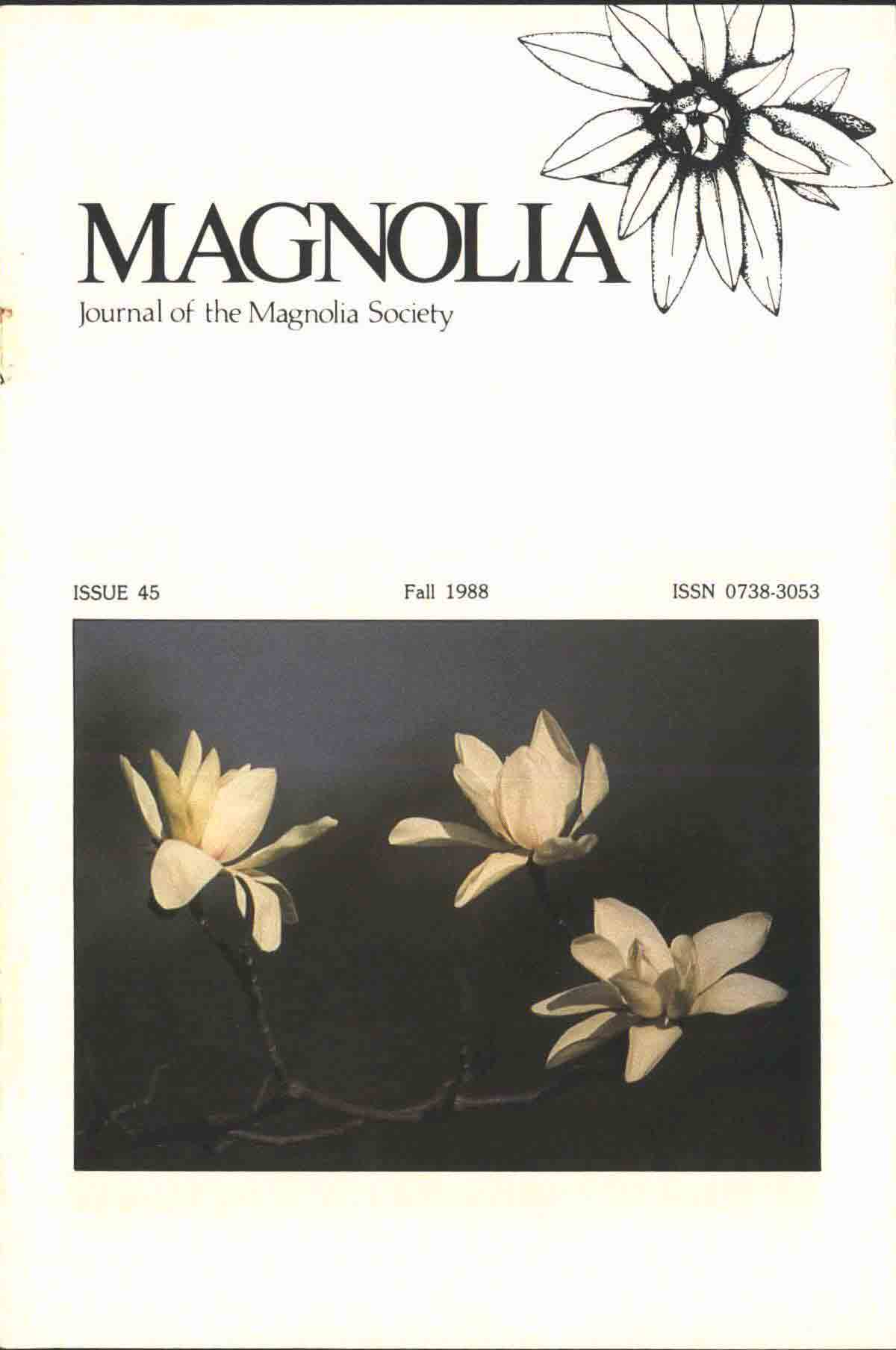 MSI Journal Issue 45 Cover
