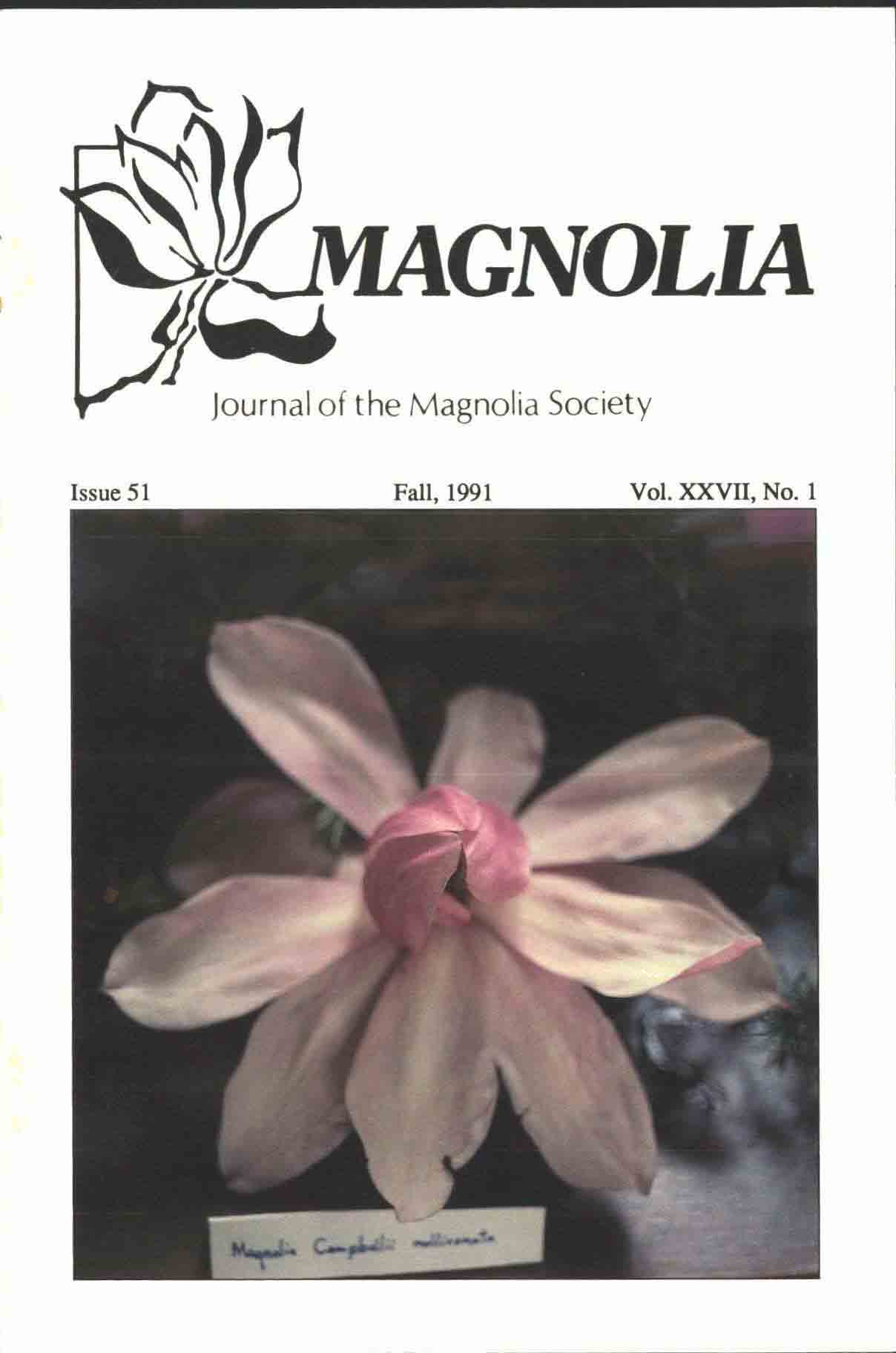 MSI Journal Issue 51 Cover