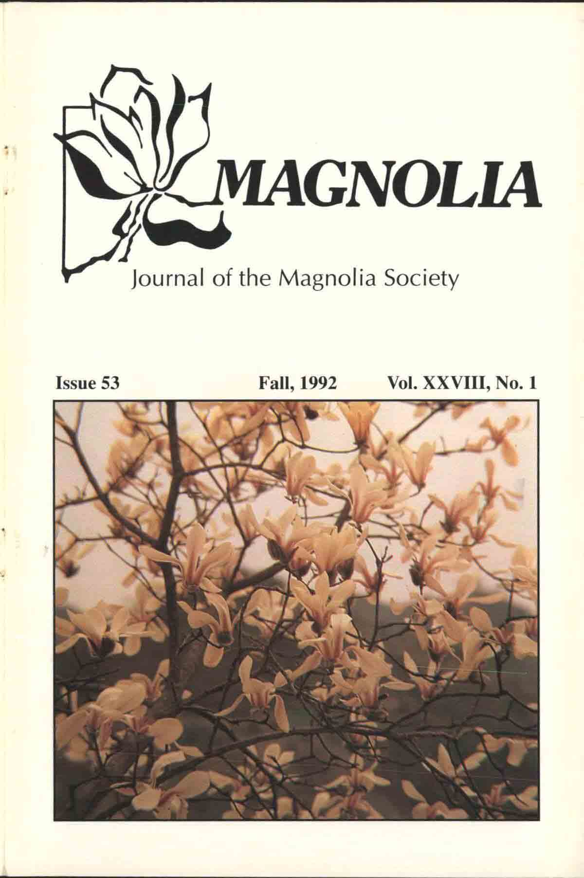 MSI Journal Issue 53 Cover