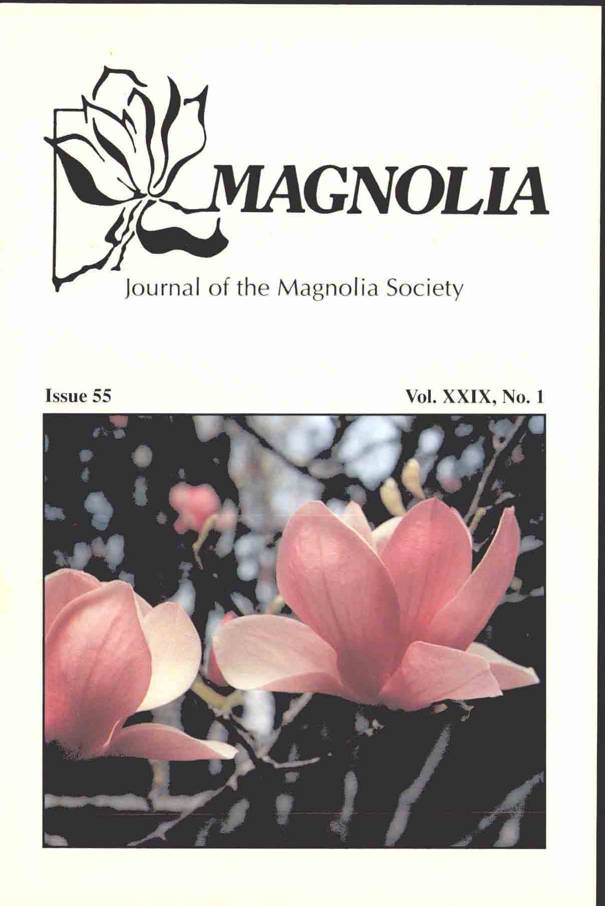 MSI Journal Issue 55 Cover